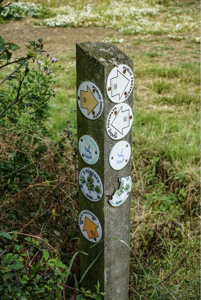 Hiking trails and trailheads to explore